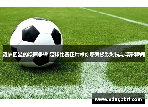 激情四溢的绿茵争锋 足球比赛正片带你感受极致对抗与精彩瞬间