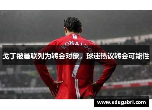 戈丁被曼联列为转会对象，球迷热议转会可能性