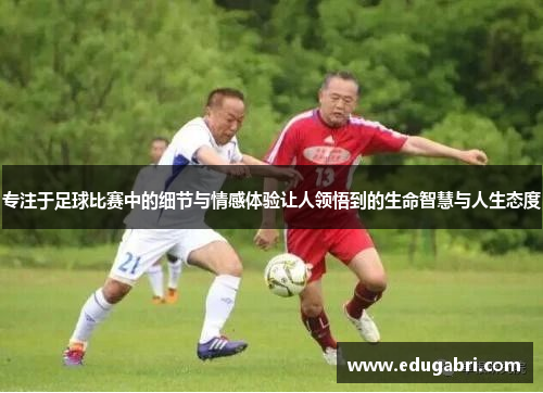 专注于足球比赛中的细节与情感体验让人领悟到的生命智慧与人生态度