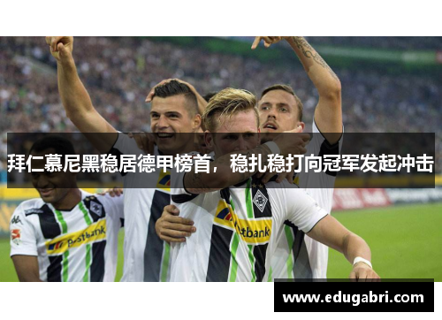 拜仁慕尼黑稳居德甲榜首，稳扎稳打向冠军发起冲击