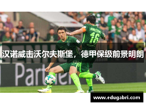 汉诺威击沃尔夫斯堡，德甲保级前景明朗