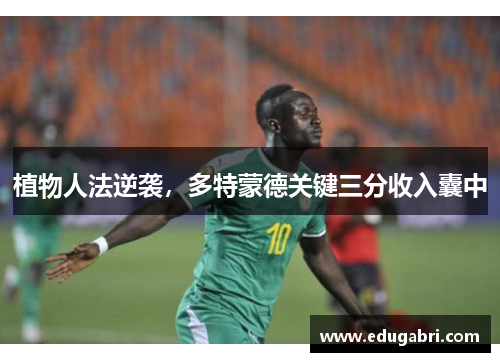 植物人法逆袭，多特蒙德关键三分收入囊中