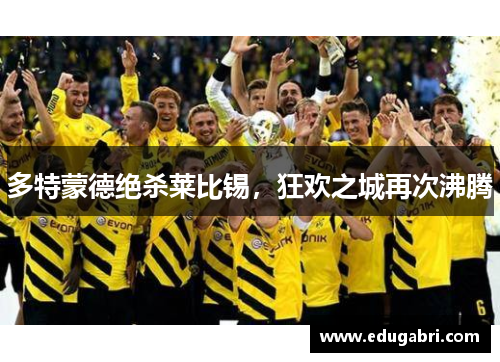 多特蒙德绝杀莱比锡，狂欢之城再次沸腾