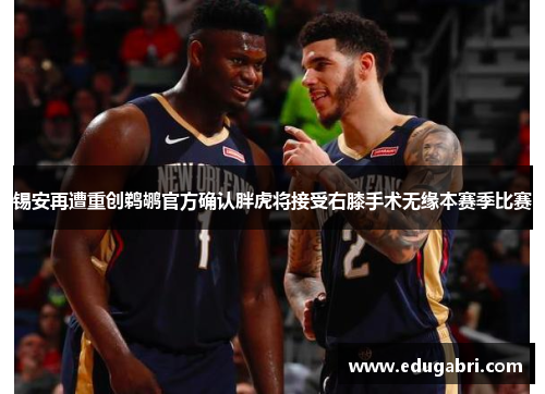 锡安再遭重创鹈鹕官方确认胖虎将接受右膝手术无缘本赛季比赛