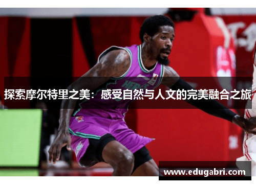 探索摩尔特里之美：感受自然与人文的完美融合之旅