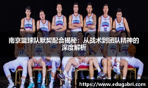 必一运动bsport体育