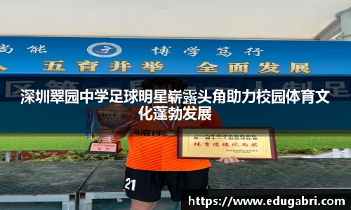 必一运动bsport体育