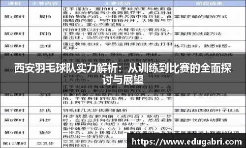西安羽毛球队实力解析：从训练到比赛的全面探讨与展望