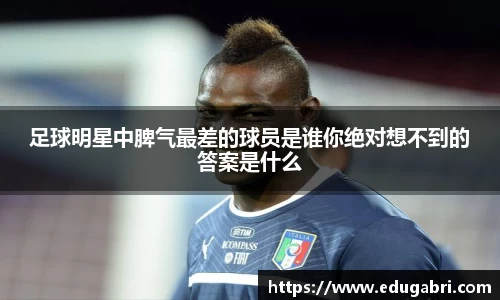 必一·体育(b-sports)