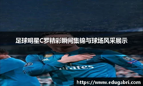 必一运动bsport体育